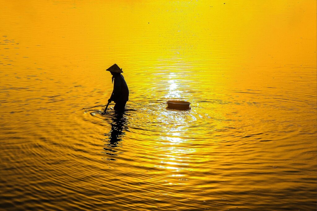 ピルのオンライン診療を比較して選ぶべきポイントは？