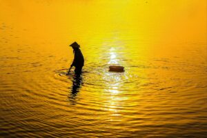 ピルのオンライン診療を比較して選ぶべきポイントは？