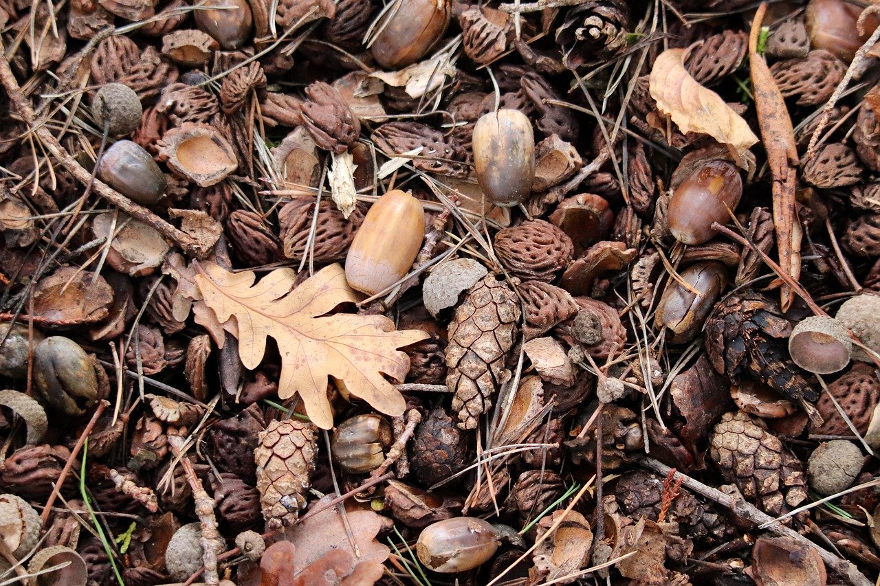 ピルの避妊効果はいつから実感できるの？