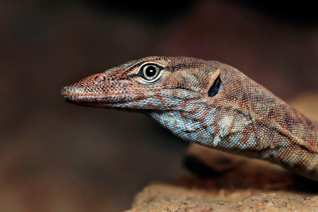 ピルに関する産婦人科医師監修のサービスとは？