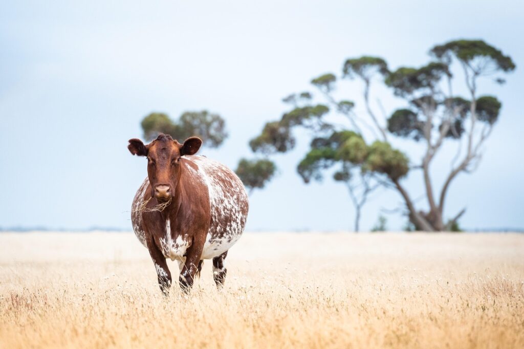 ピルを服用した場合の妊娠可能性はいつ検査すれば良いのか？